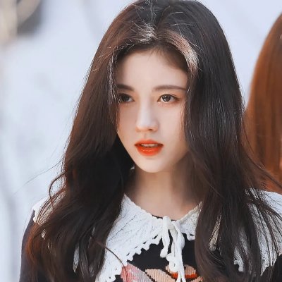 金丝雀驯养手册总裁的金丝雀