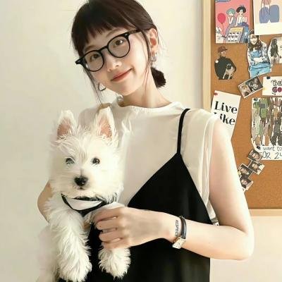 疯狂的麦咭第五季